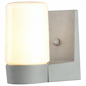 Светильник на штанге Arte Lamp Spasso A8058AL-1GY