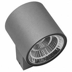 Светильник на штанге Lightstar Paro LED 361692