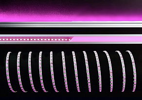 Лента светодиодная Deko-Light Decorative Light Flexible LED Stripe 840276